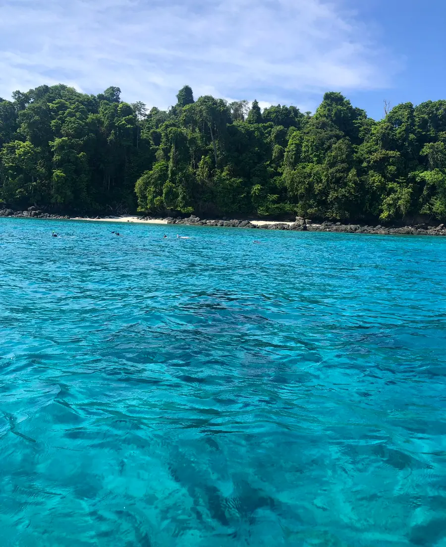 Agua turquesa frente a una isla con bosque, con personas haciendo snorkel a lo lejos
